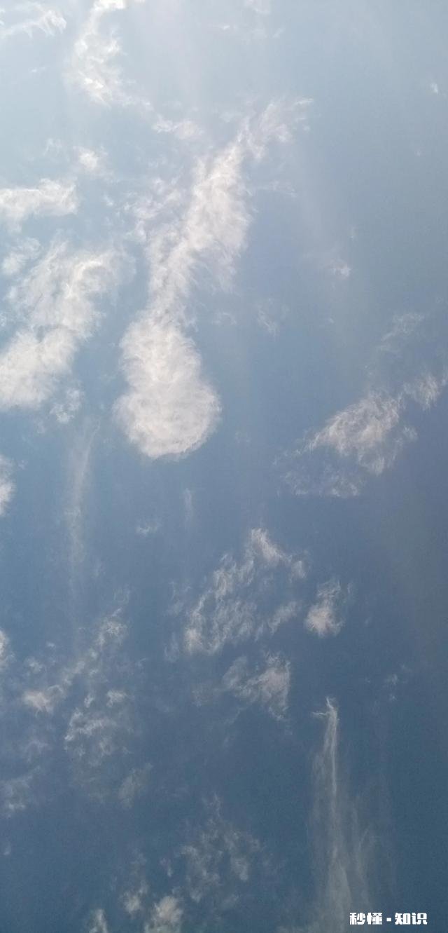 露从今夜白，月是故乡明，以一首思亲诗来解读杜甫为何被称为诗圣