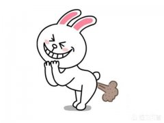 排便正常，总是排气，是怎么回事该怎么办