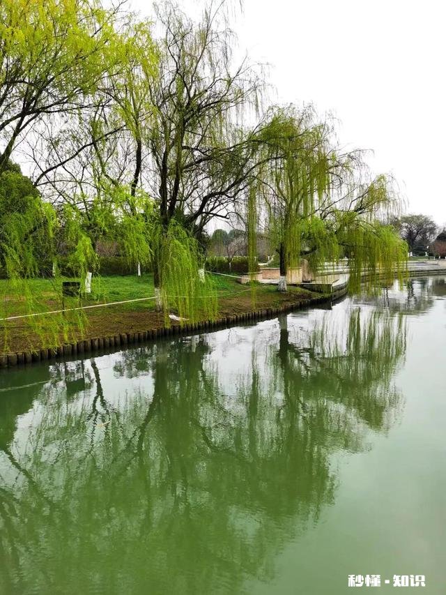 嫁人嫁有钱的，还是嫁你爱的，你会怎么选