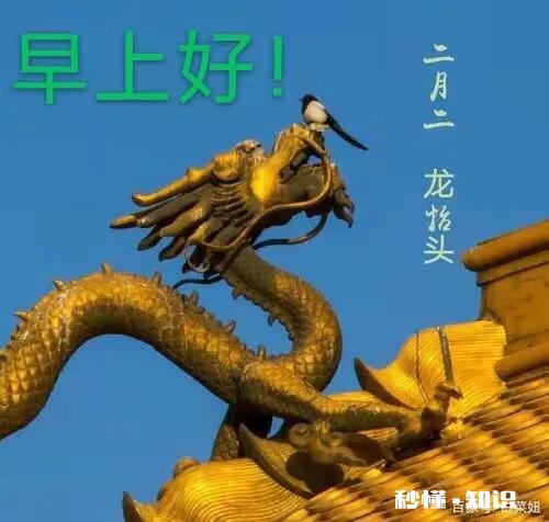 嫁人嫁有钱的，还是嫁你爱的，你会怎么选