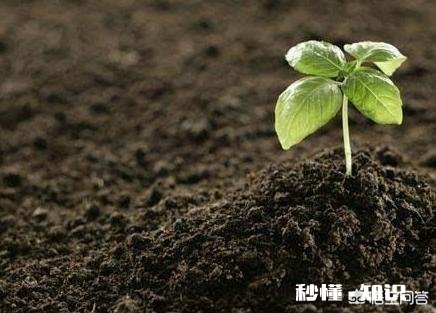 家里的农田里看不到蚯蚓了应该怎么办