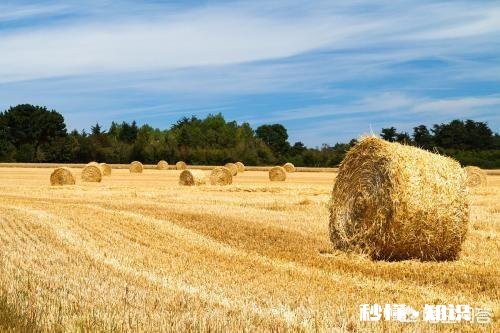 家里的农田里看不到蚯蚓了应该怎么办