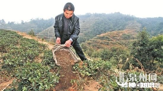 家里的农田里看不到蚯蚓了应该怎么办