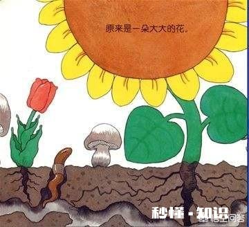 家里的农田里看不到蚯蚓了应该怎么办