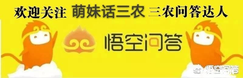 家里的农田里看不到蚯蚓了应该怎么办