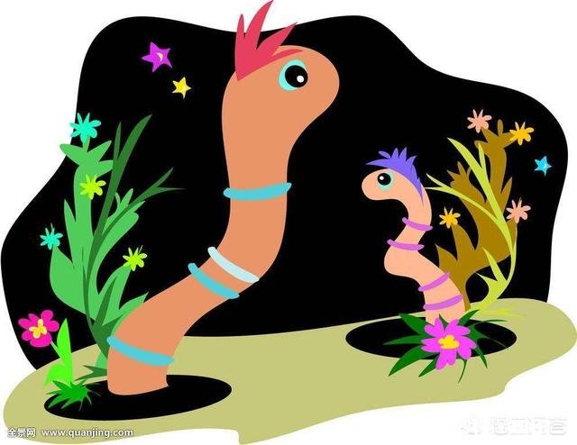 家里的农田里看不到蚯蚓了应该怎么办