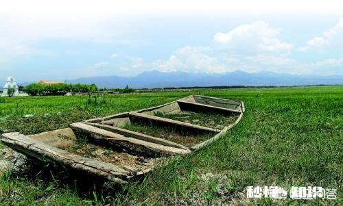 家里的农田里看不到蚯蚓了应该怎么办