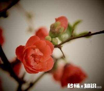 哲学让我们清醒还是迷茫