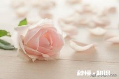 哲学让我们清醒还是迷茫