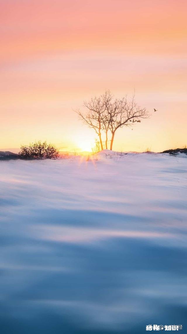 请问今年气温偏高，疫情对信阳毛尖采茶及销售价格有什么影响