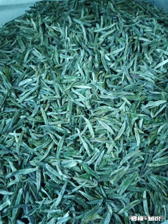 请问今年气温偏高，疫情对信阳毛尖采茶及销售价格有什么影响