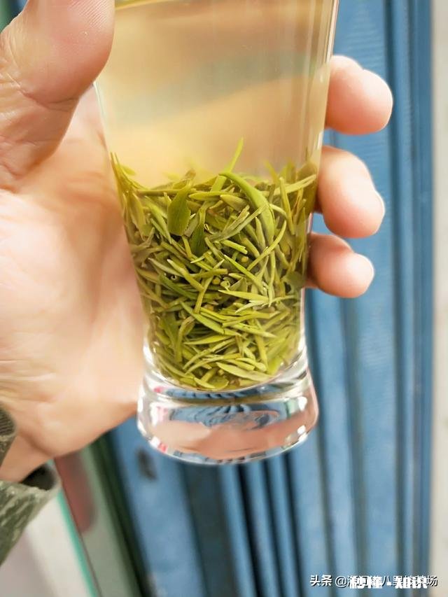 请问今年气温偏高，疫情对信阳毛尖采茶及销售价格有什么影响