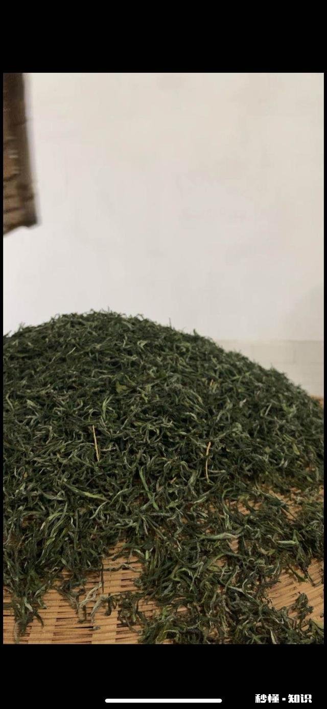 请问今年气温偏高，疫情对信阳毛尖采茶及销售价格有什么影响