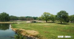 怎样摄影风景、人物肖像、运动类的相片