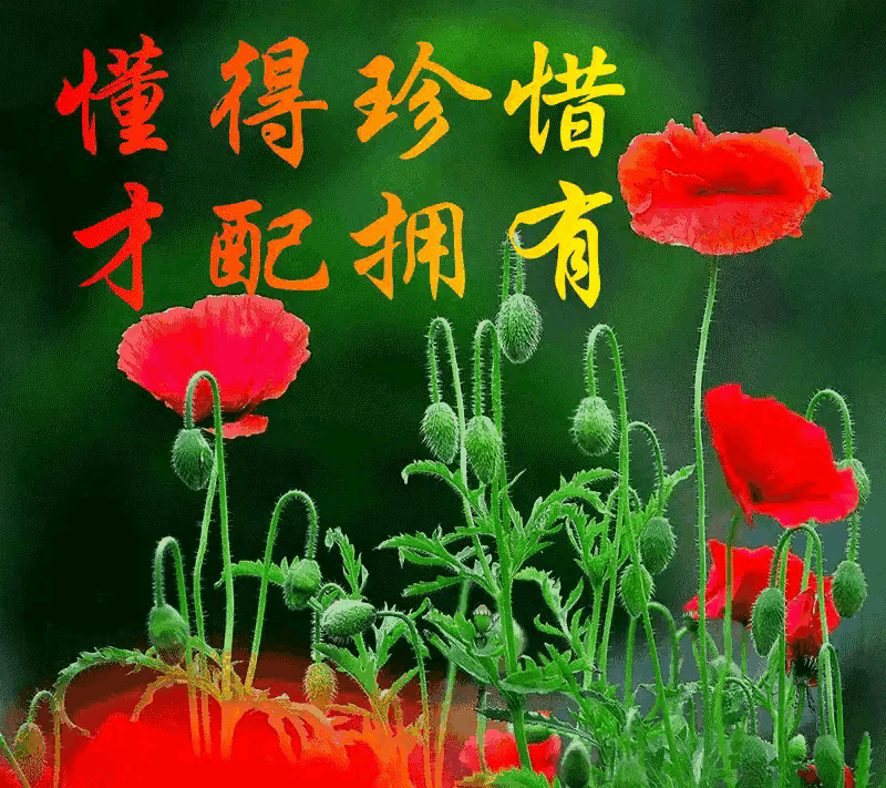 你们能接受和没有感情的人在一起吗为什么