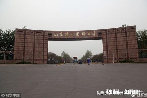 我儿子被山东第一医科大学护理专业录取了,就业前景怎么样