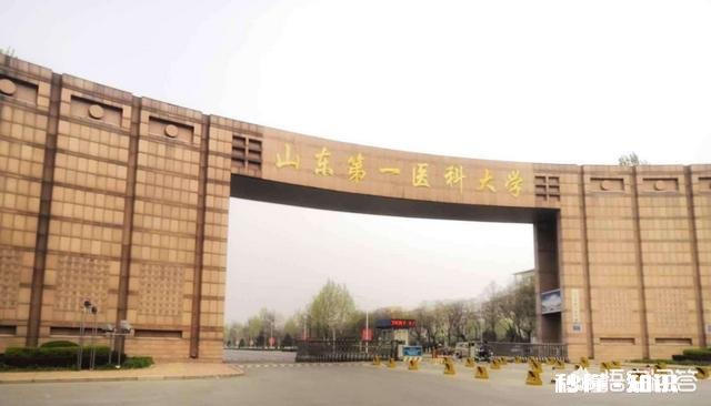 我儿子被山东第一医科大学护理专业录取了,就业前景怎么样