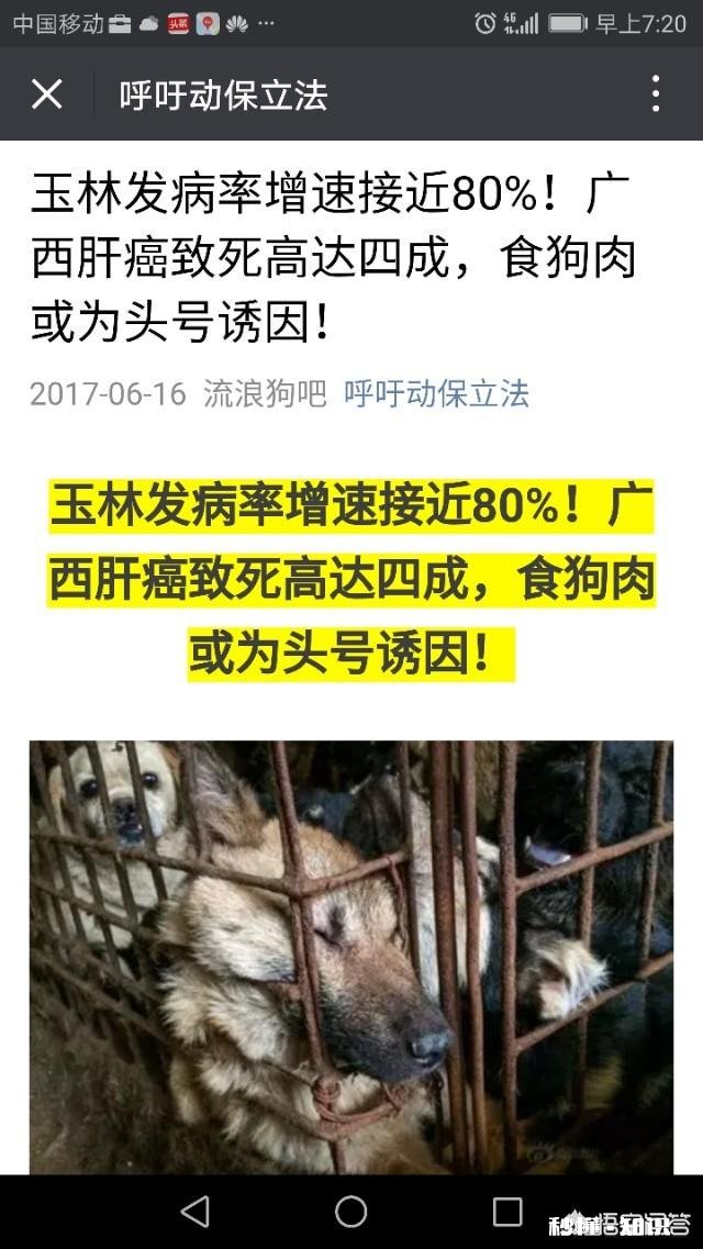 为什么冬天需要狗肉