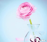 2020，你的新年愿望是什么