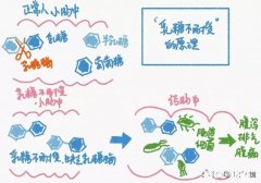宝宝腹痛腹泻肠鸣音亢进是什么原因