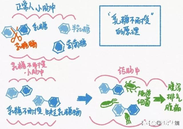 宝宝腹痛腹泻肠鸣音亢进是什么原因