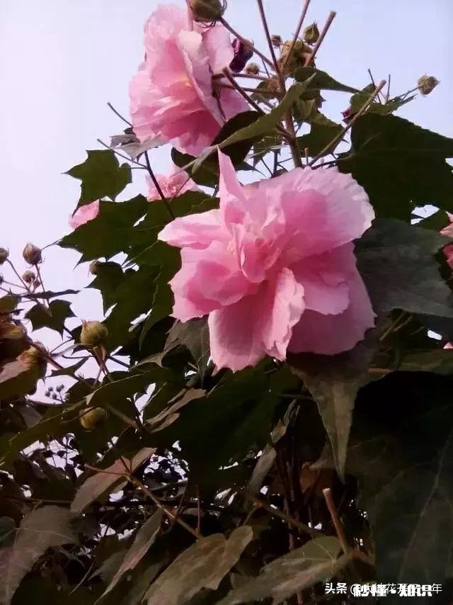 为什么过得好的时候，身边的人都想帮你