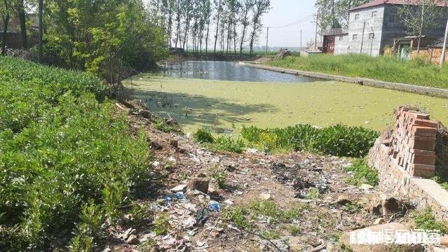 农村卫生环境大治理，你怎么看