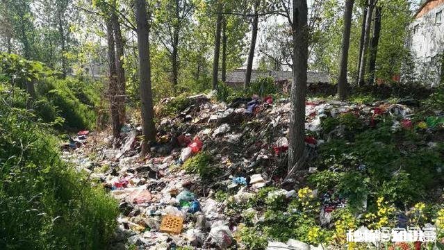 农村卫生环境大治理，你怎么看