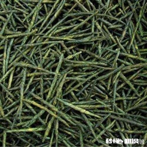 严重口臭吃点什么药能治疗