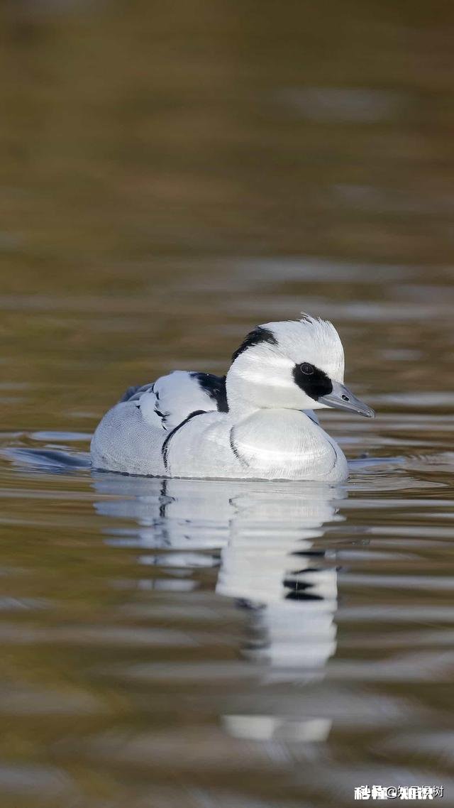 经常喝酒的人，酒后会有哪几种变化，该逼自己戒酒了