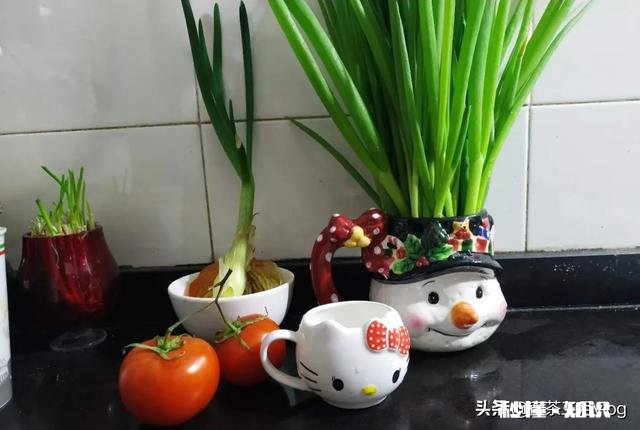 如果西瓜开始结果了，后期怎样管理