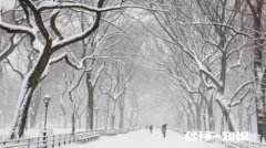 冬天来了，有哪些适合下雪天的句子