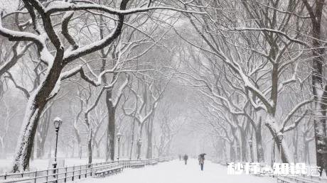 冬天来了，有哪些适合下雪天的句子