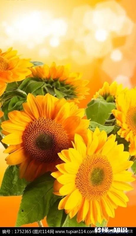 陷入婚姻危机,学习和生活都开始焦虑起来了,有什么好方法嘛