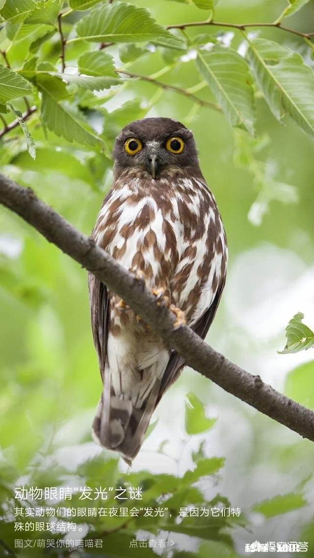 当我成为别人前进的阻碍时,我该怎么办