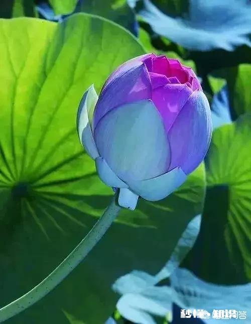 在人生最低谷时得不到任何帮助，自己怎样走出困境