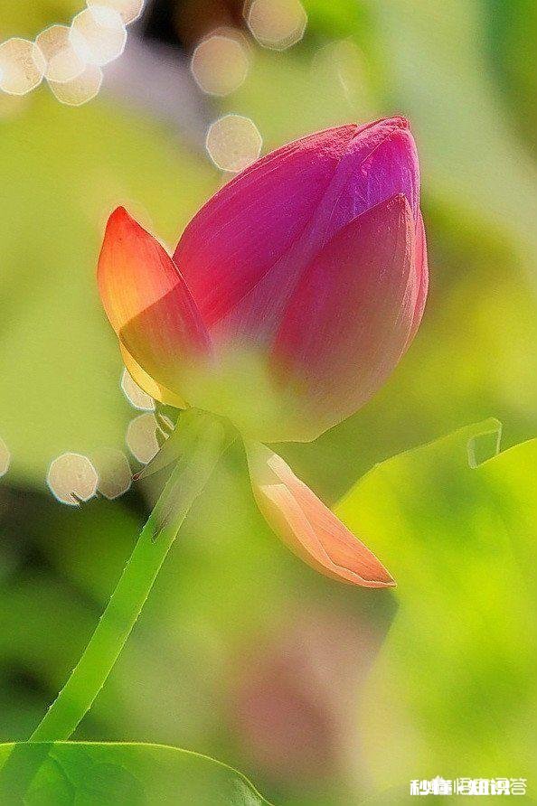 在人生最低谷时得不到任何帮助，自己怎样走出困境