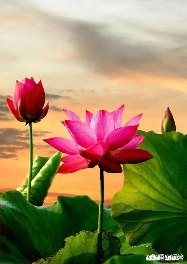 在人生最低谷时得不到任何帮助，自己怎样走出困境