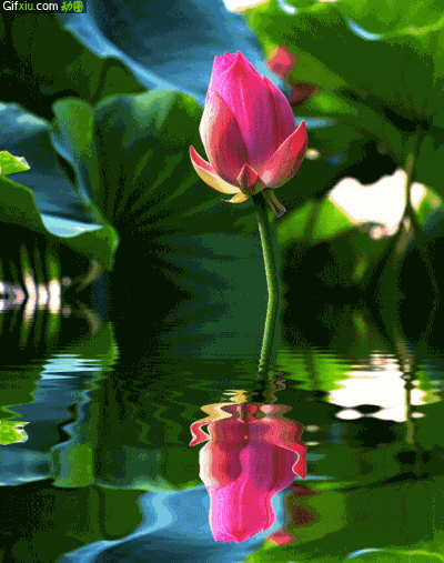 在人生最低谷时得不到任何帮助，自己怎样走出困境