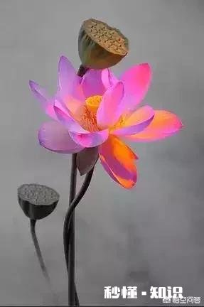 在人生最低谷时得不到任何帮助，自己怎样走出困境