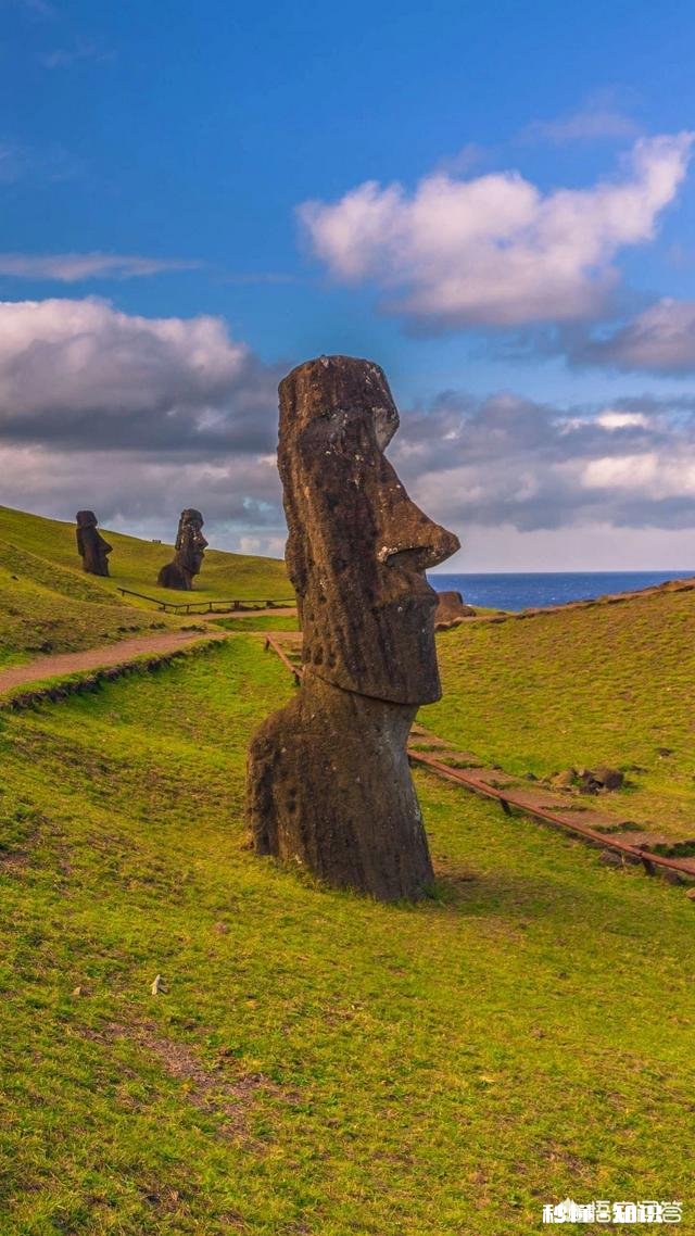 情人节过去了，你是不是还是一个人为什么