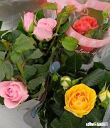 找护士作为对象有啥优点或者家里老婆是护士的感觉怎么样