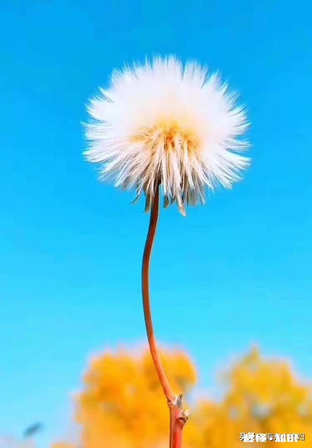 人的价值到底是为了什么