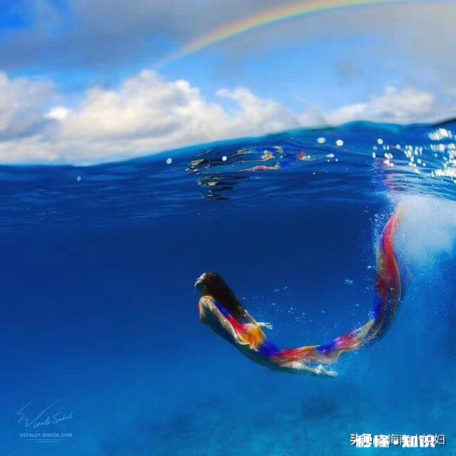 人的价值到底是为了什么