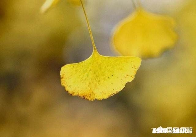 企业对一线员工实行考勤打卡制度，而对管理层却不用打卡，这正常吗你怎么看