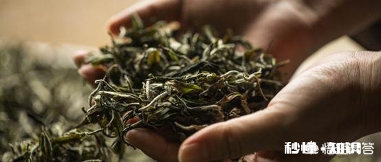 哪些食物不宜在冰箱存放,放进去反而加速食物变坏