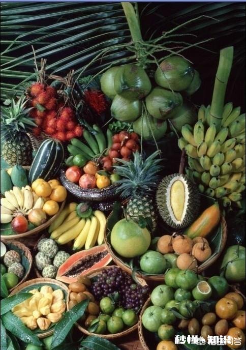 哪些食物不宜在冰箱存放,放进去反而加速食物变坏