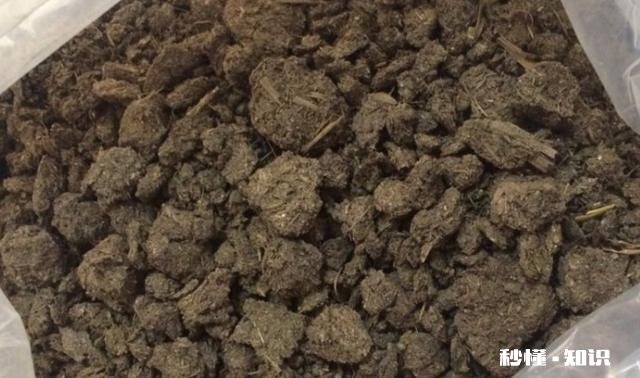 农村农民把牛粪做成各种各样,你知道多少