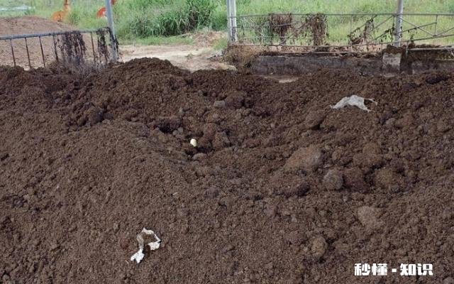 农村农民把牛粪做成各种各样,你知道多少