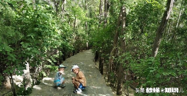 全职妈妈每天带孩子出去走，在路上应该怎么教他